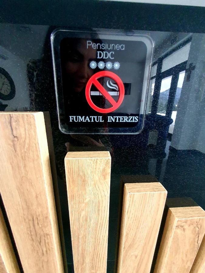 Pensiunea Ddc Colibiţa Zewnętrze zdjęcie